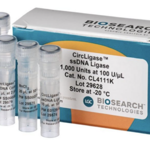CircLigase™ II ssDNA Ligase, 1,000 U