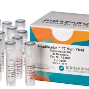 AmpliScribe™ T7 High Yield Transcription Kit, 50R