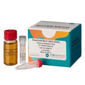 ClearColi® BL21(DE3) Electrocompetent Cells, 12R (DUOS)