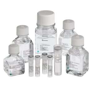 MasterPure™ Complete DNA and RNA Purification Kit, 200 Purifications
