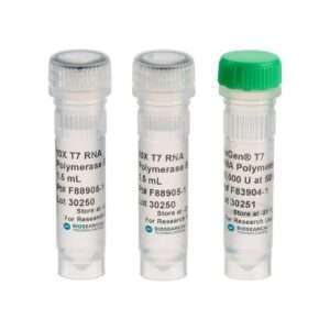 NxGen® T7 RNA Polymerase, 25,000U
