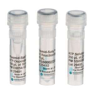 Plasmid-Safe™ ATP-Dependent DNase, 1,000U @ 10U/ul