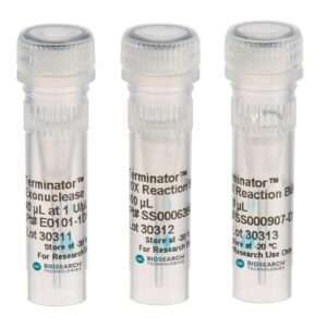 Terminator™ 5´-Phosphate-Dependent Exonuclease, 400U @ 1U/ul