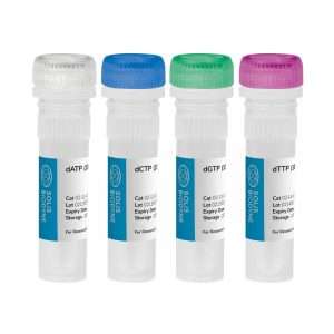 dNTP set 100mM