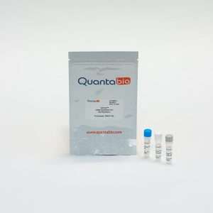 Quantabio qScript® cDNA Synthesis Kit, 25 x 20 μL reactions
