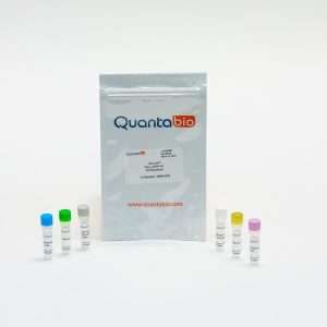 Quantabio qScript® Flex cDNA Synthesis Kit, 100 x 20 µl reactions