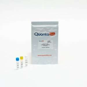 Quantabio qScript™ One-Step SYBR® Green qRT-PCR Kit, 200 x 20 µl reactions