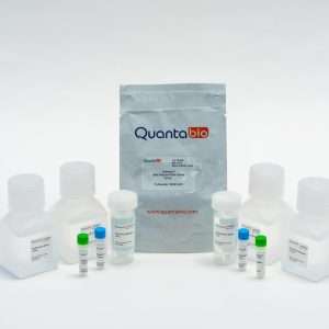 Extracta DNA Prep for PCR, 250 ml
