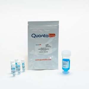 Quantabio qScript® XLT One-Step RT-qPCR ToughMix®, 2000 x 20 µl reactions