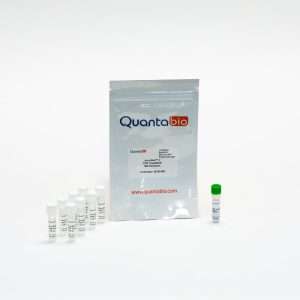 AccuStart II PCR ToughMix®, 4000 x 25 µl reactions
