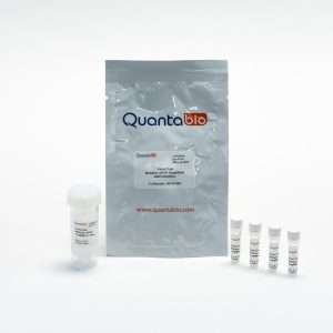 Quantabio PerfeCTa® MultiPlex qPCR ToughMix® Low ROX™, 1000 x 25 µl reactions
