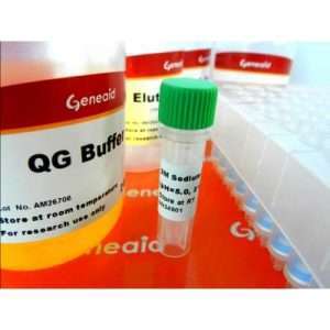 Presto™ 96 Well Gel Extraction Kit 4X96 well plates/kit