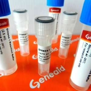 DNS100 - RNase-Free DNase I Set 100 mg