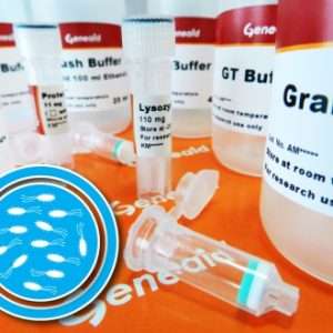 Presto™ Mini gDNA Bacteria Kit (w/Lysozyme) 100 Preps