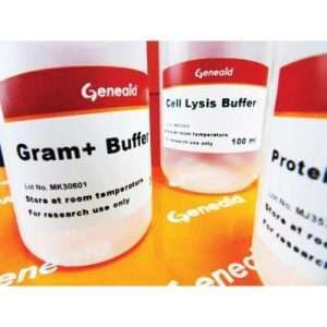 Geneaid DNA Isolation Kit (Bacteria) Plus 1 ml/rxn