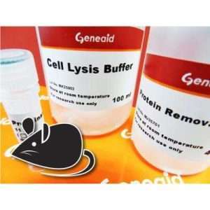 Geneaid DNA Isolation Kit (Tissue) 1 ml/rxn