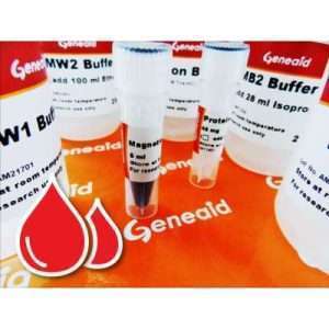 Magnetic Beads DNA Extraction Kit (Blood) 4 Preps