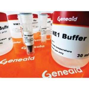 Magnetic Beads DNA Extraction Kit (Bacteria) 4 Preps