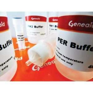 Geneaid™ Midi Plasmid Kit (Endotoxin Free) 2 Preps