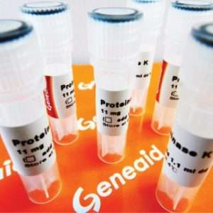 Proteinase K 100 mg