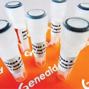 RNase A solution (10 mg/ml) 1ml