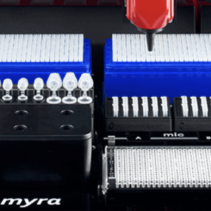Myra Tips, 10 X 384