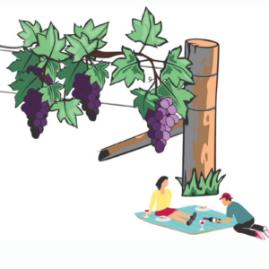 Wine Spoilage Testing