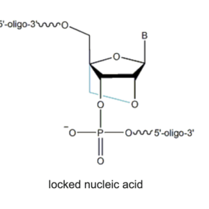 Locked nucleic acid (LNA) Probes