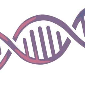 E. coli qPCR kit, 100 tests