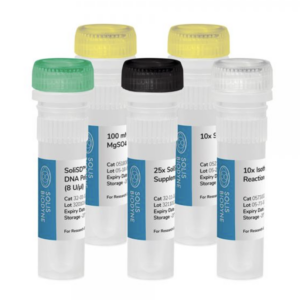 (LAMP) SoliSD™ Bsm DNA Polymerase Kit, 100 reactions (sample)