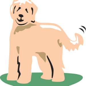 Pet Food Testing