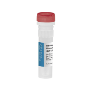 RiboGrip® RNase Inhibitor (220U/µl), 10,000U