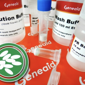 Yeast Genomic DNA Kit, 100 Preps